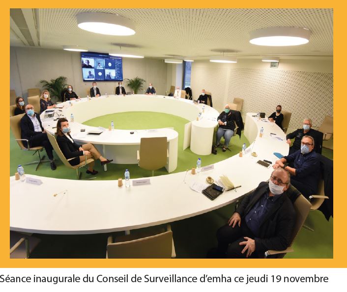 le conseil de surveillance d'emha le 19 novembre 2020