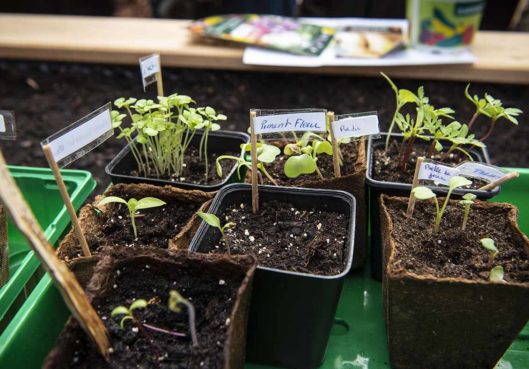 Résidence Saint Trop - Top départ pour le jardin partagé - Habitation Moderne