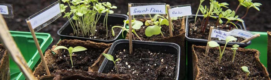 Résidence Saint Trop - Top départ pour le jardin partagé