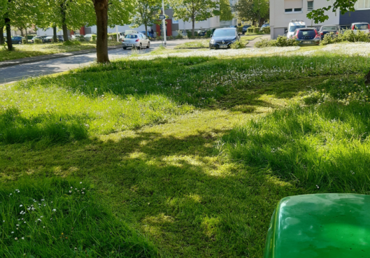 L'entretien de vos espaces verts évolue - Habitation Moderne