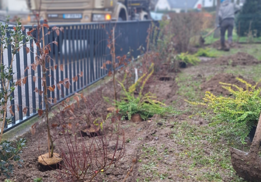 C'est le printemps chez Habitation moderne - Habitation Moderne