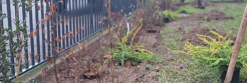 C'est le printemps chez Habitation moderne