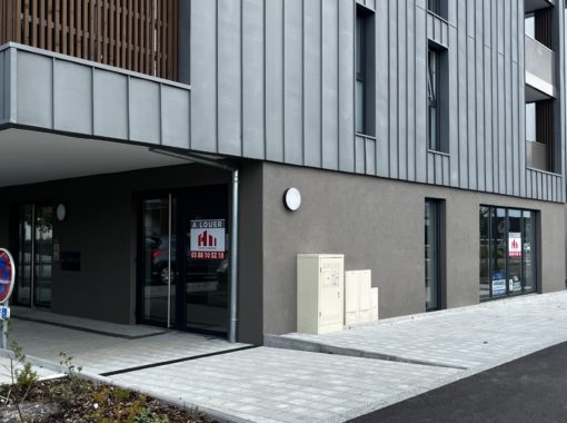 LOCAUX COMMERCIAUX NEUFS - VENDENHEIM - Habitation Moderne
