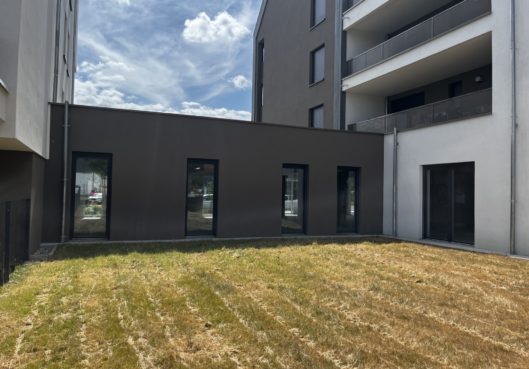 LOCAL COMMERCIAL NEUF VENDENHEIM - Habitation Moderne