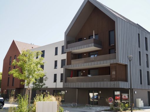 LOCAL COMMERCIAL NEUF VENDENHEIM - Habitation Moderne