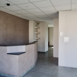 LOCAUX COMMERCIAUX - OSTWALD - 157 m²